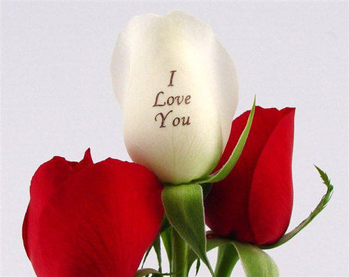 sandeepsori's profile picture. Hello friendssss.............