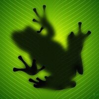 Christian Bell (@strayfrog) 's Twitter Profile