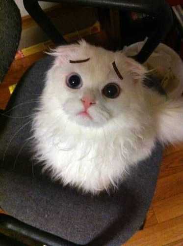 0330ajta's profile picture. 三度の飯より服が好き！！！ 少ない給料ほぼほぼ服に持っていかれてます(´･ω･`) ファッションに関するリツイや全く関係ない呟きなんかをマイペースに更新中