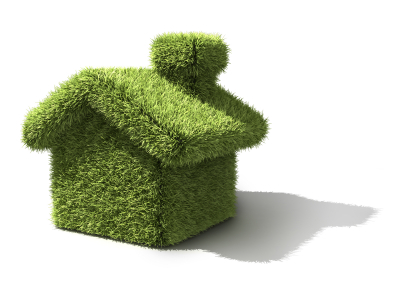GreenHomeAdvice's profile picture. Green Home Advice is my blog with information about reducing climate change and environmental sustainability.