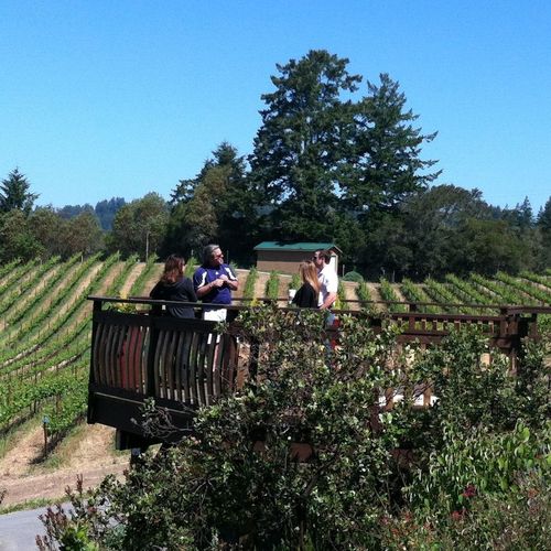 Lifelong Bay Area resident. Locavore including supporting my local wineries.  aka @grillgod @NorCalGolfClub @YourCloudCPA