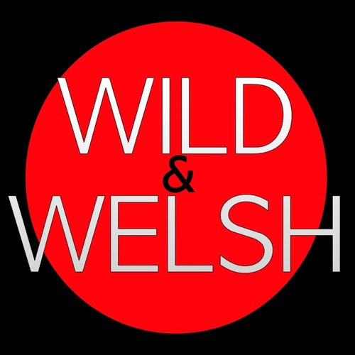 WILD&WELSH are a Songwriting Performing duo of: Robert Wild/Steven Welsh