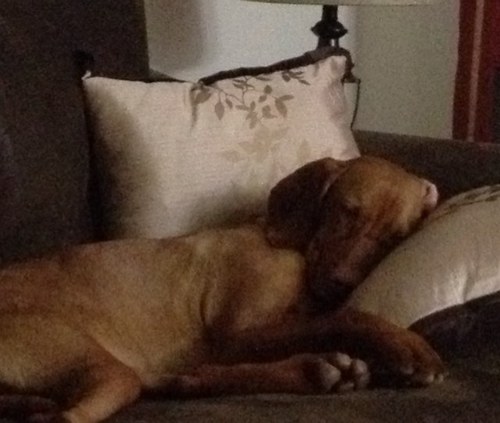 ptess64's profile picture. 