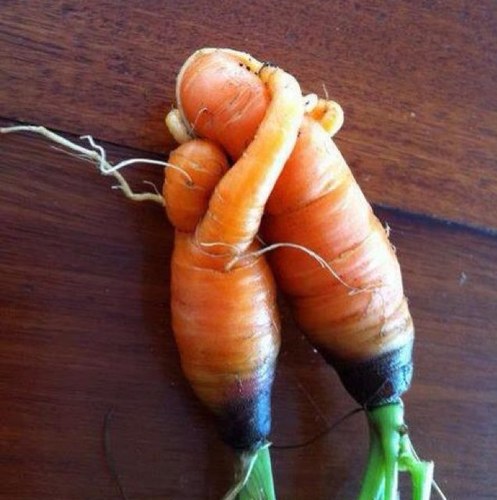 thidarwin2007's profile picture. 