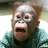 SCH7ONG_CONNERY's profile image