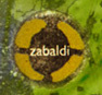 Zabaldi Profile Picture