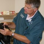 Board certified veterinary dentist at Animal Dental Care in Colorado Springs, CO & Bozeman, MT. When not busy with #vetdentistry, you'll find me #flyfishing.