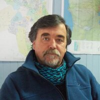 nelson carcamo (@nelsoncarcamob) 's Twitter Profile