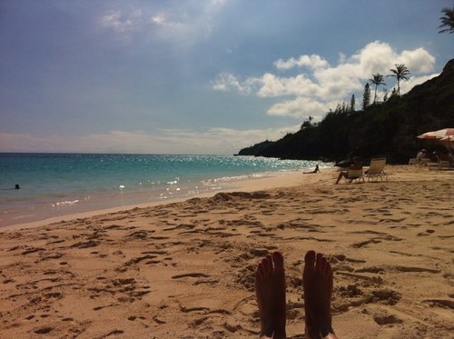 sashy13's profile picture. 