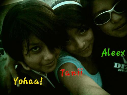 yohallydul's profile picture. zoi alguien muiy dulze