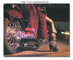 ashevillevixen's profile picture. Just here to have some fun!!