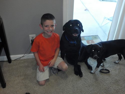 DroidBionic's profile picture. 