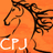 CrkdPathJewelry's profile image