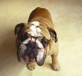 dane9561's profile picture. 