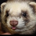 lee hatton - @leemgee - Twitter