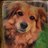 DezMo888's profile image