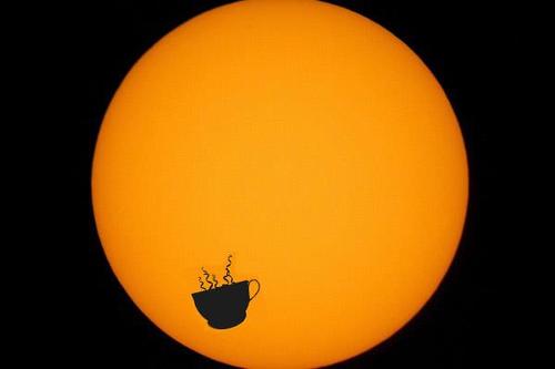 QuizmastersCup's profile picture. The Quizmasters' Cup is a humble trophy celebrating the victors of the most brutal Quiz Night at the Indian Road Cafe.