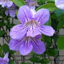 Dionna Burnett - @PinkDeeHouse - Twitter