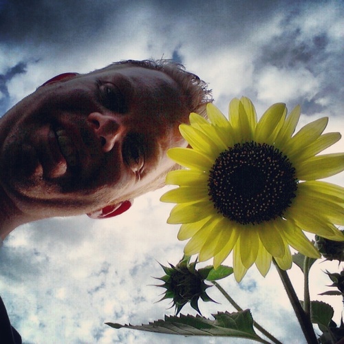 danmallard's profile picture. 