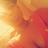 GODS_MY_WITNESS's profile image