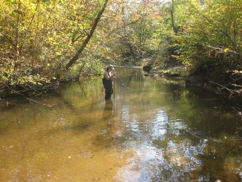 deniselvt's profile picture. environmental geochemist, non-engineer engineering consultant, she, PhD and PG who loves pH. views my own.