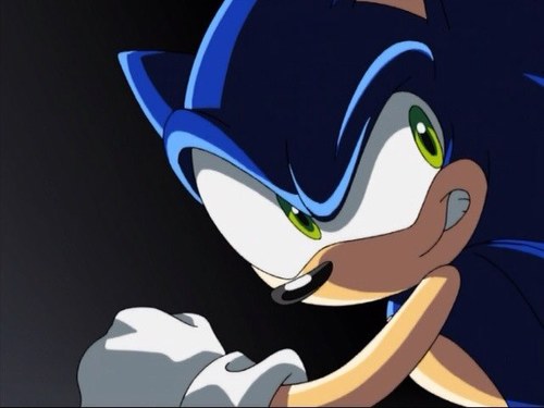 sohfythehedgie's profile picture. 