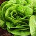 Hermanus Market (@hermanusmarket) Twitter profile photo Hermanus Market (@hermanusmarket) Twitter profile photo