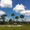 Tim Woodard - @dawgs0215 - Twitter