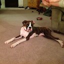 Kristi Combs - @combskristi - Twitter