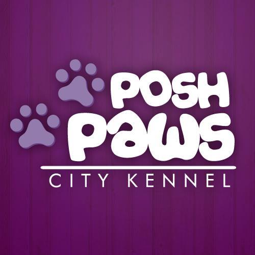 Posh Paws (@poshpawskennel) | Twitter
