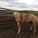 Paul mandel - @cowboyatheart1 - Twitter