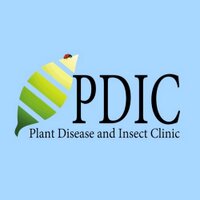 NCSU Plant Disease & Insect Clinic(@NCSU_PDIC) 's Twitter Profileg