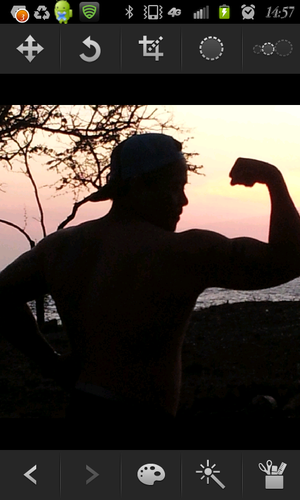 sometimes funny, sometimes grouchy...I tweet the truth tho...follow me..I followback..GUARANTEED!..TeamFollowBack..TeamHawaii