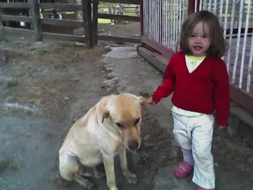 soy peke pero amo a mi hermanitha y ella me cuida asi ke siganme