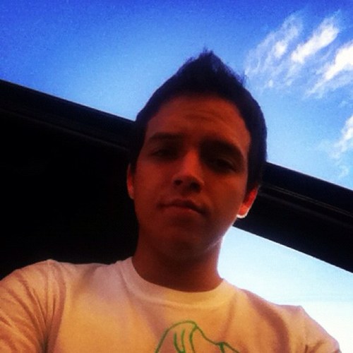 Piperfriedl's profile picture. 