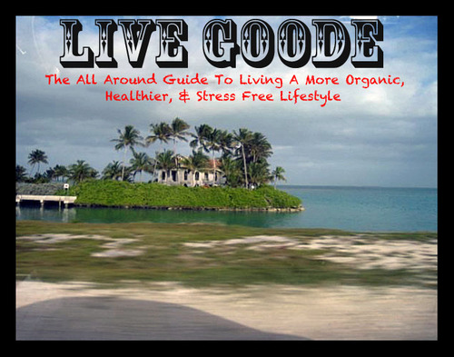 The all around guide to living a more organic, healthier, & stress free lifestyle!