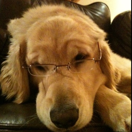 laskum's profile picture. 