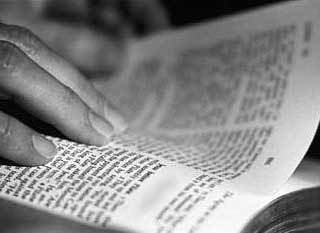 CristoGuianos's profile picture. Conectemonos con Cristo nuestro rey, busquemos su Santa palabra Y nuestra Santa Madre Maria y entendamos su santo lenguaje.