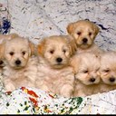 Marissa Fiore - @MarissaFiore10 - Twitter