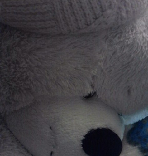 Sankyuya's profile picture. 