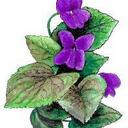 Peggy Wright - @chesapeak9 - Twitter