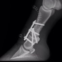 Wesley Larkin - @LarkinWesley - Twitter