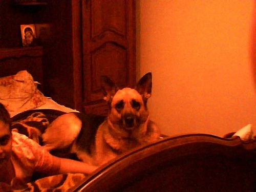 ginaili's profile picture. 