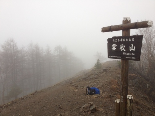 植物・音・太極拳形意拳・登山・瞑想・Obsidian/PKMなど