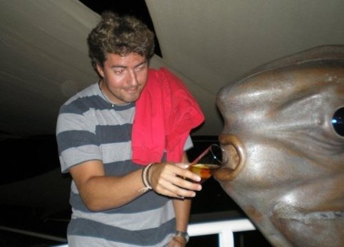 Pardillo profesional