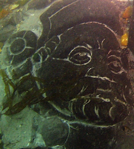 Bringing People to the Museum & the Museum Underwater. A Bournemouth University project in collaboration with Poole Museum & supported by Heritage Lottery Fund