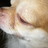 paota33_fan's profile image