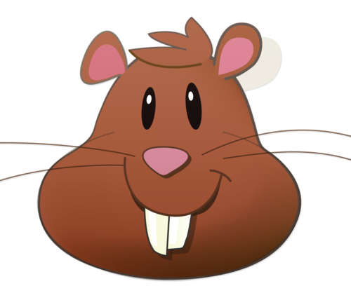 kayraaaaaaaa's profile picture. 