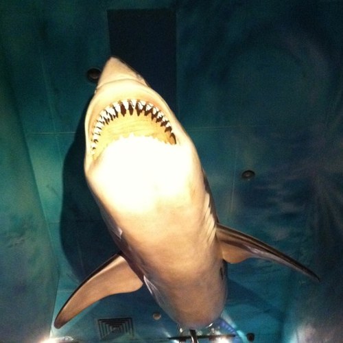 matthewseehan's profile picture. 