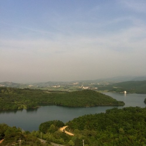 hamad4317's profile picture. 